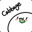 cabbage