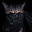 Fumi