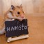 HaMsTeR