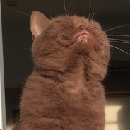 Flachzange - steam id 76561197961792943