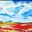 Laity-