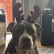 ☠ʜᴀᴢᴇʙᴏʏᴋᴀ☠