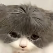 schizmikitb