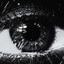 NightlyNova
