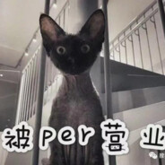 翊墨不是perper