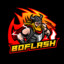 BoFlash