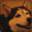 Stripi MD