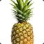 Pineapple Jr