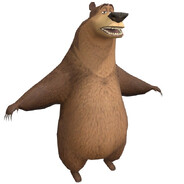 hedgester