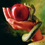 Forbidden_Fruit