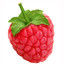 Raspberry