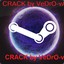 crack BY vedro