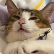 美少女西西酱XXXX