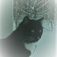 turzi - steam id 76561197961542446