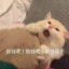 居无竹