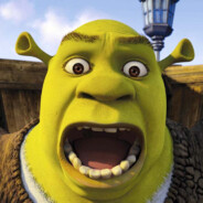 SHREK_ROI