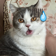 忍者山本势必正义！