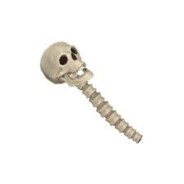 Mr. Bones