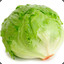 TheBestLettuce