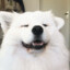 smokelol