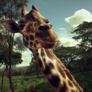 ОТЕЦ АНАТОЛИЙ