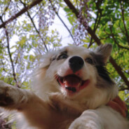 梅子天天好运气