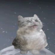 Кунгфу падла