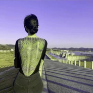 樱花和她一样难留