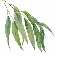 泉水灵魂指挥阿贤酱