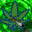 Chronic_Spartan420