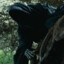 Nazgul9