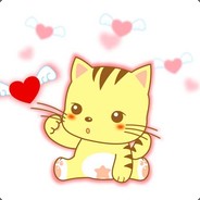 星猫大哥