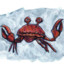 Sammy the Crab