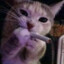 777_Podgi