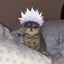 Shoito's avatar