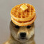 Waffles