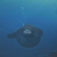 WaterMonkey