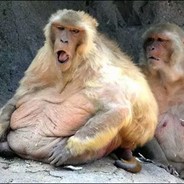 Hhahahahaahahahahaha