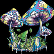 Psilocybin