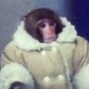 ChimpagnePapi