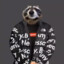 Wrackoon