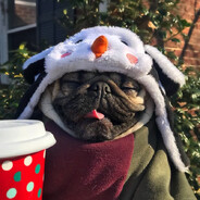 miles - steam id 76561199559722618