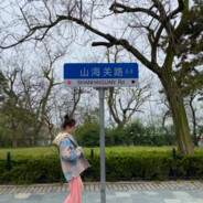 你算哪盘大盘鸡