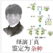 翻斗乐园胡图图