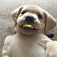 I cant stop trucking