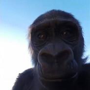 killa - steam id 76561198281785793