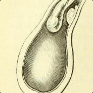 没有人能在我的BGM里战胜我