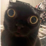 Schrottkopf Steam avatar