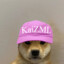 KaiZML