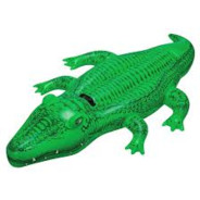 aligator